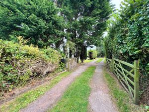 Photo 27- click for photo gallery